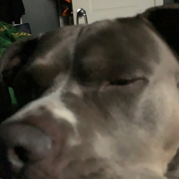 Meet your Posher, Marcus - Picture 1 of 1